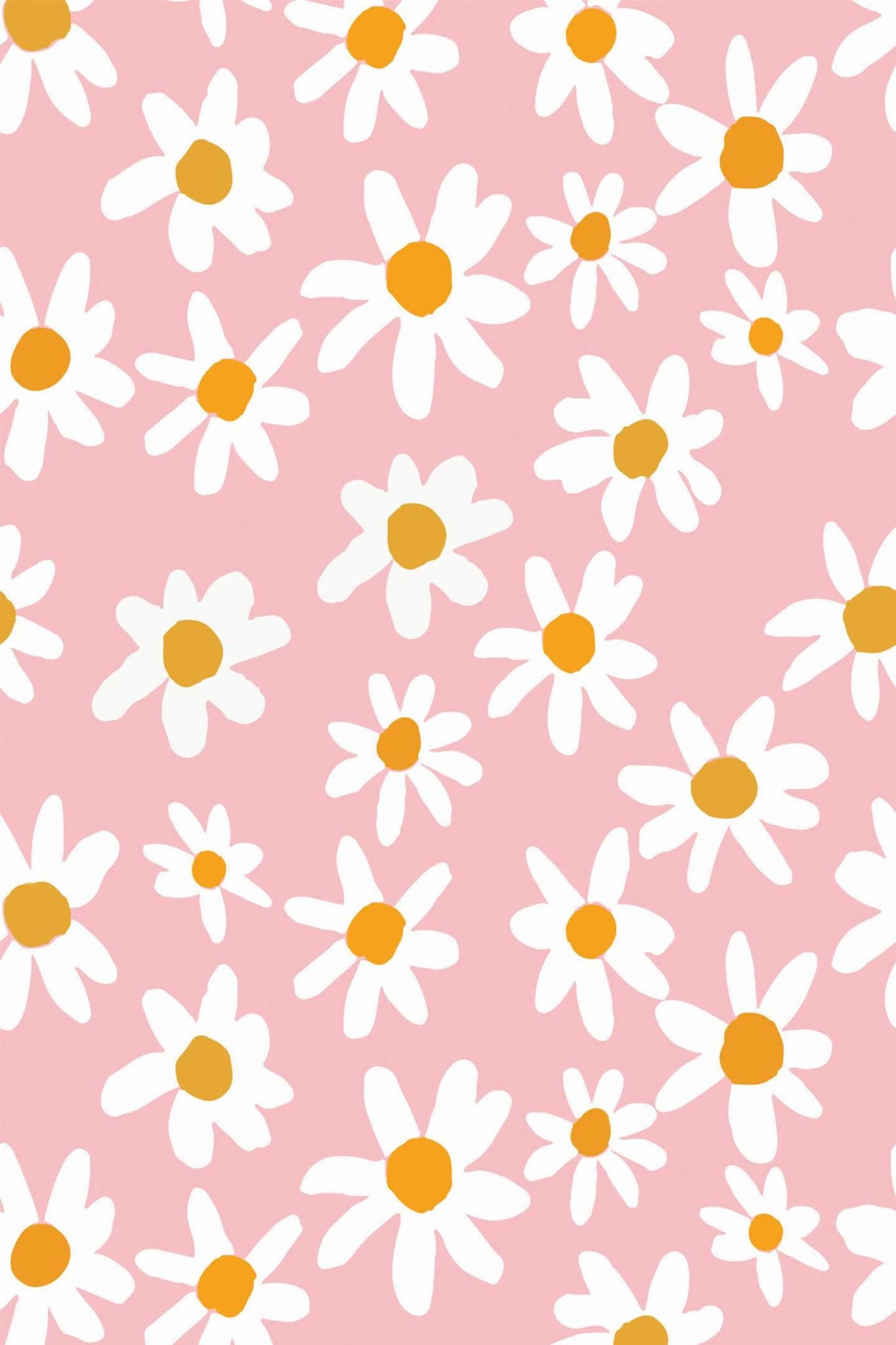 Pink Daisy Wallpaper