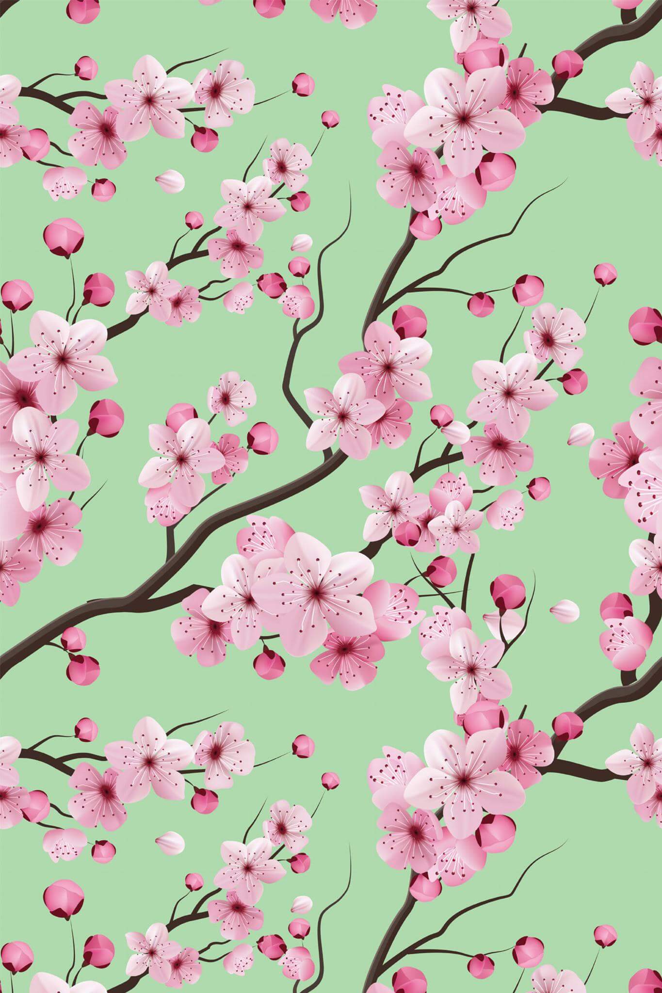 Cherry Blossom Wallpaper