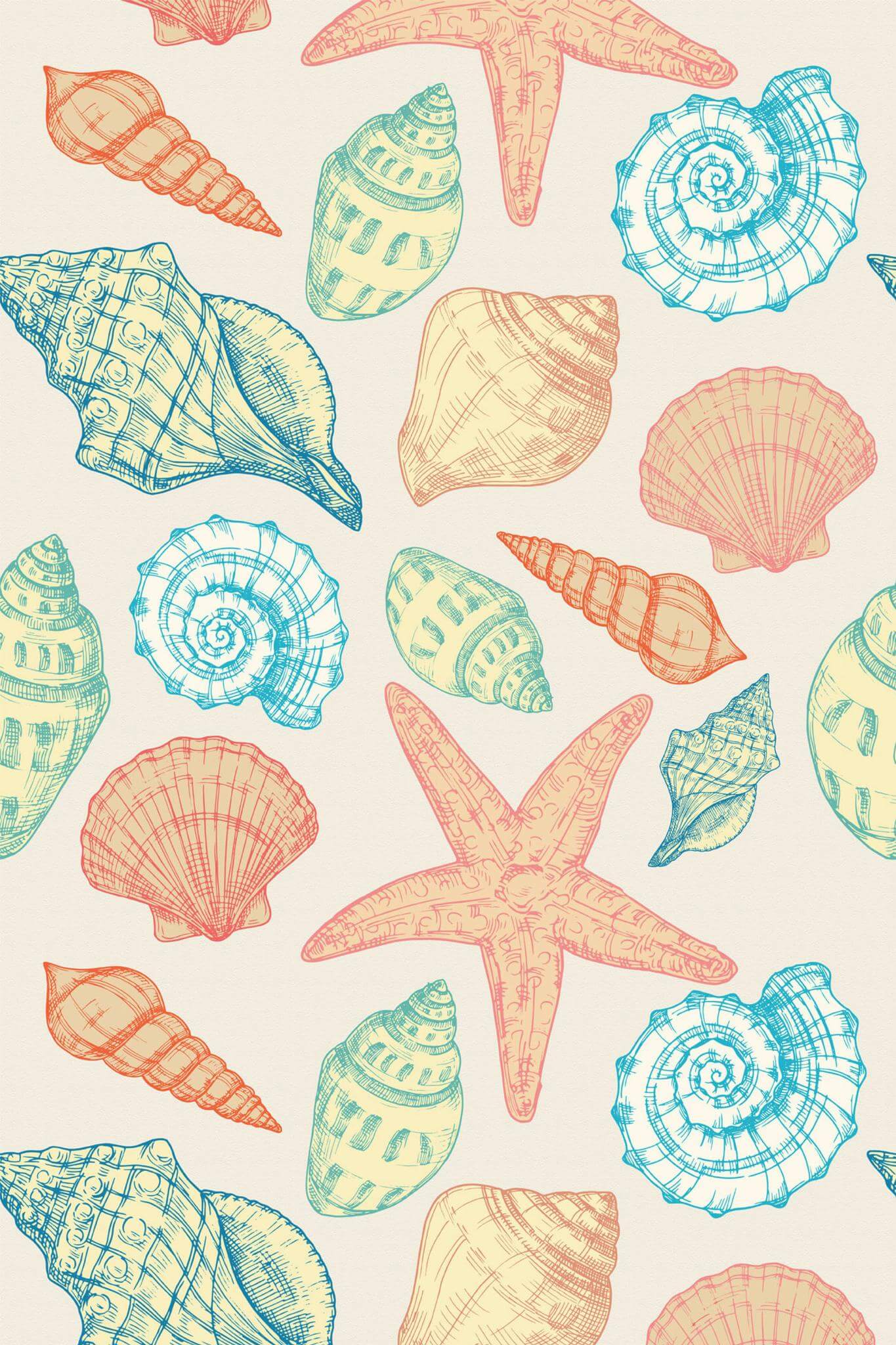 Seashell Wallpaper