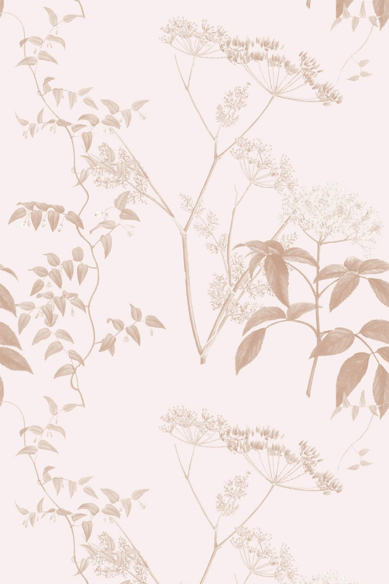 Pale Pink Wallpaper