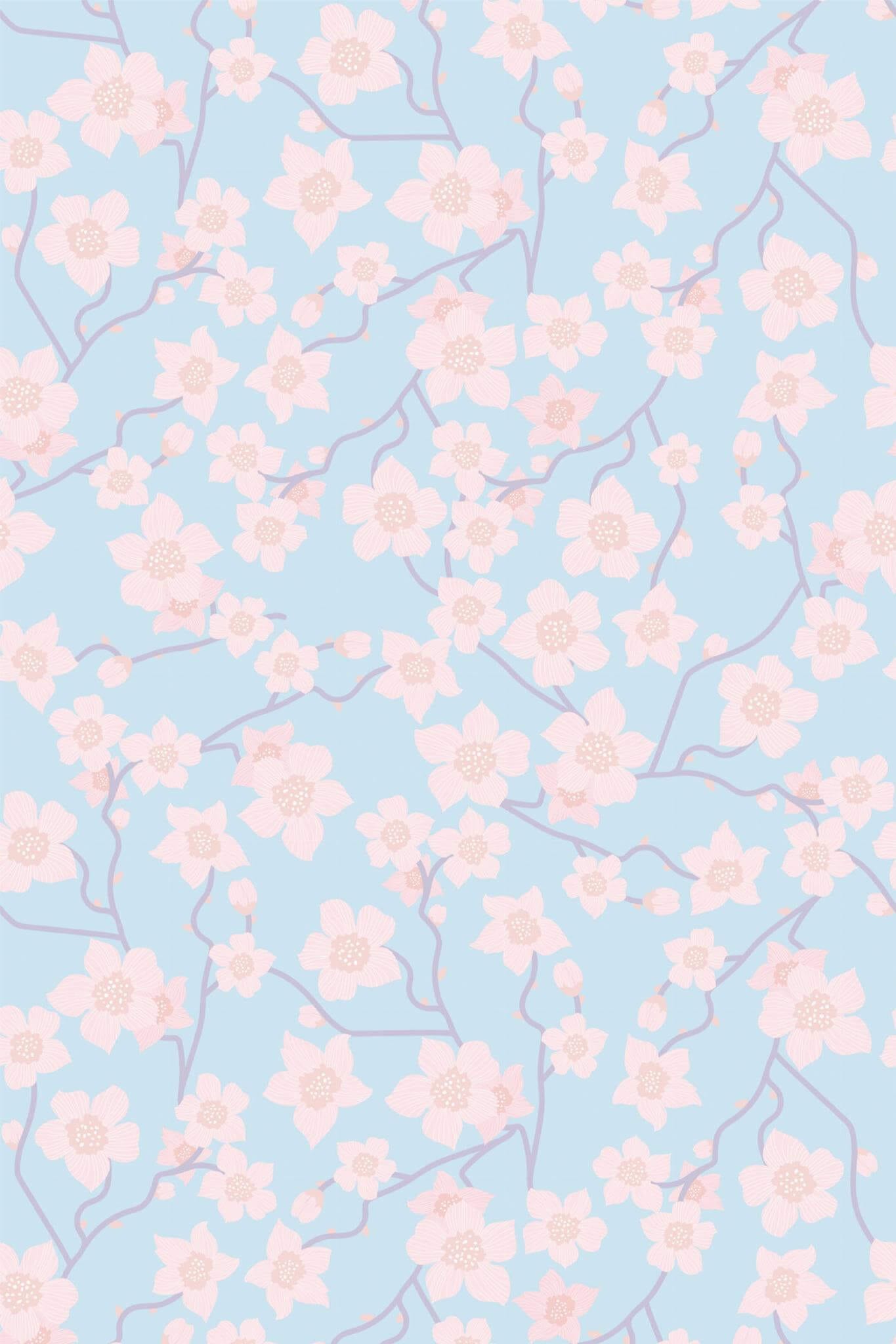 Blue Pink Flower Wallpaper