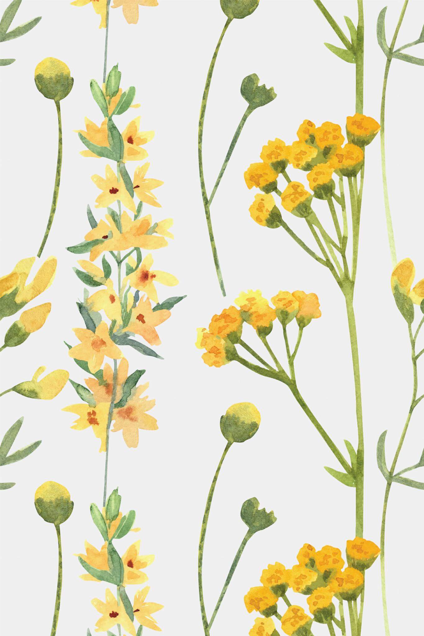 Yellow Flowers Wallpaper