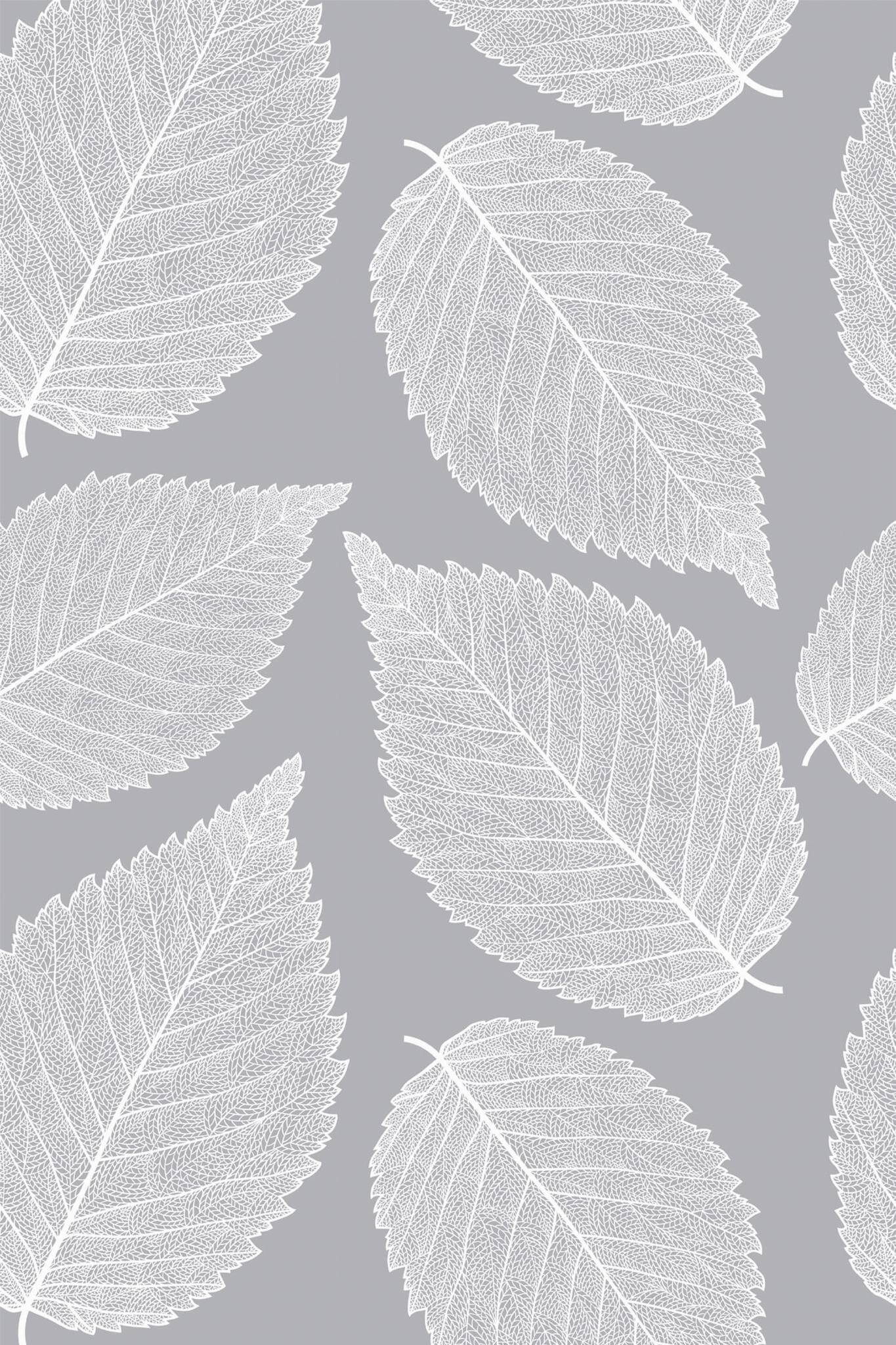 Leaf Wallpaper