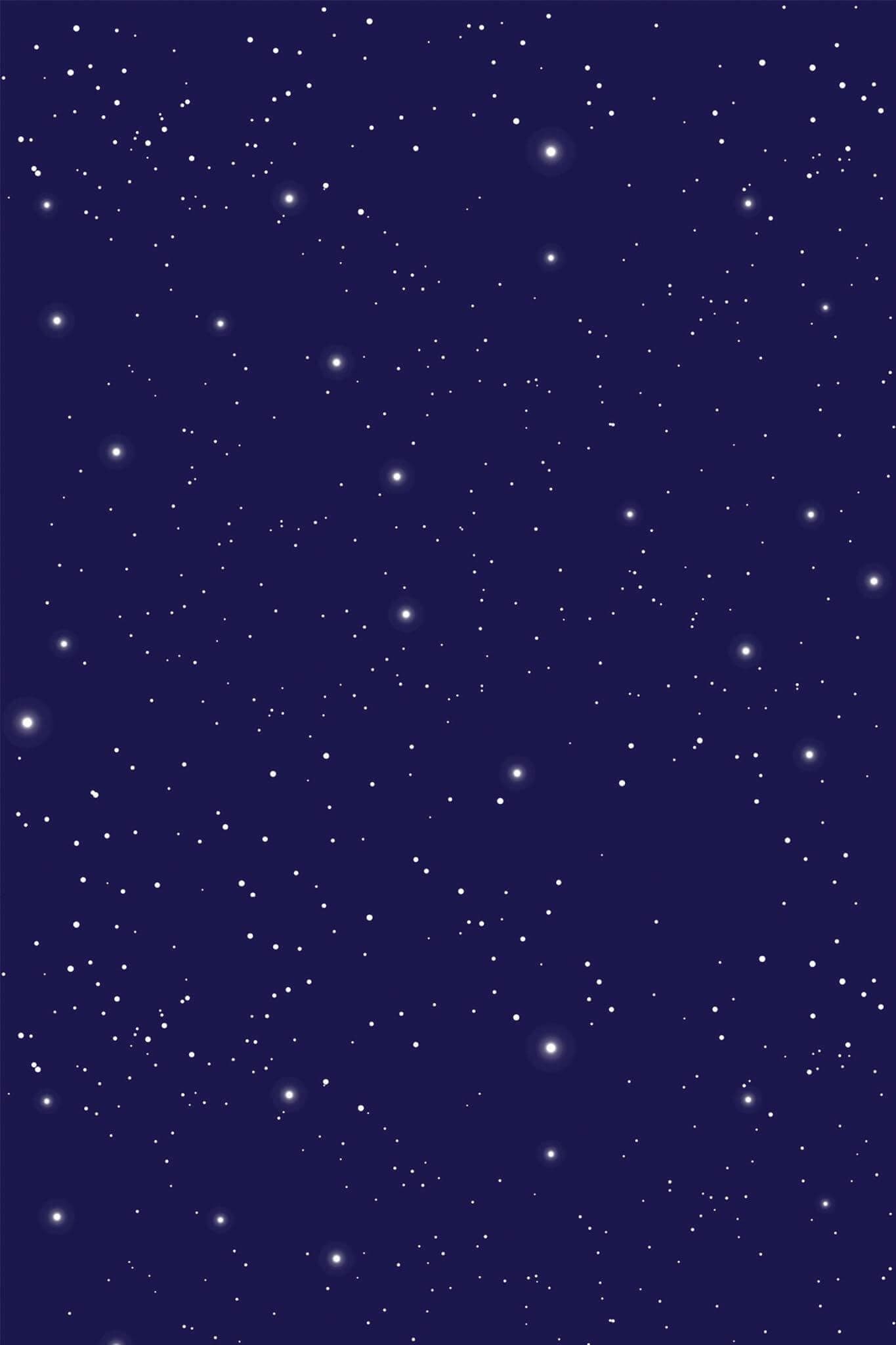 Night Sky Peel and Stick Wallpaper