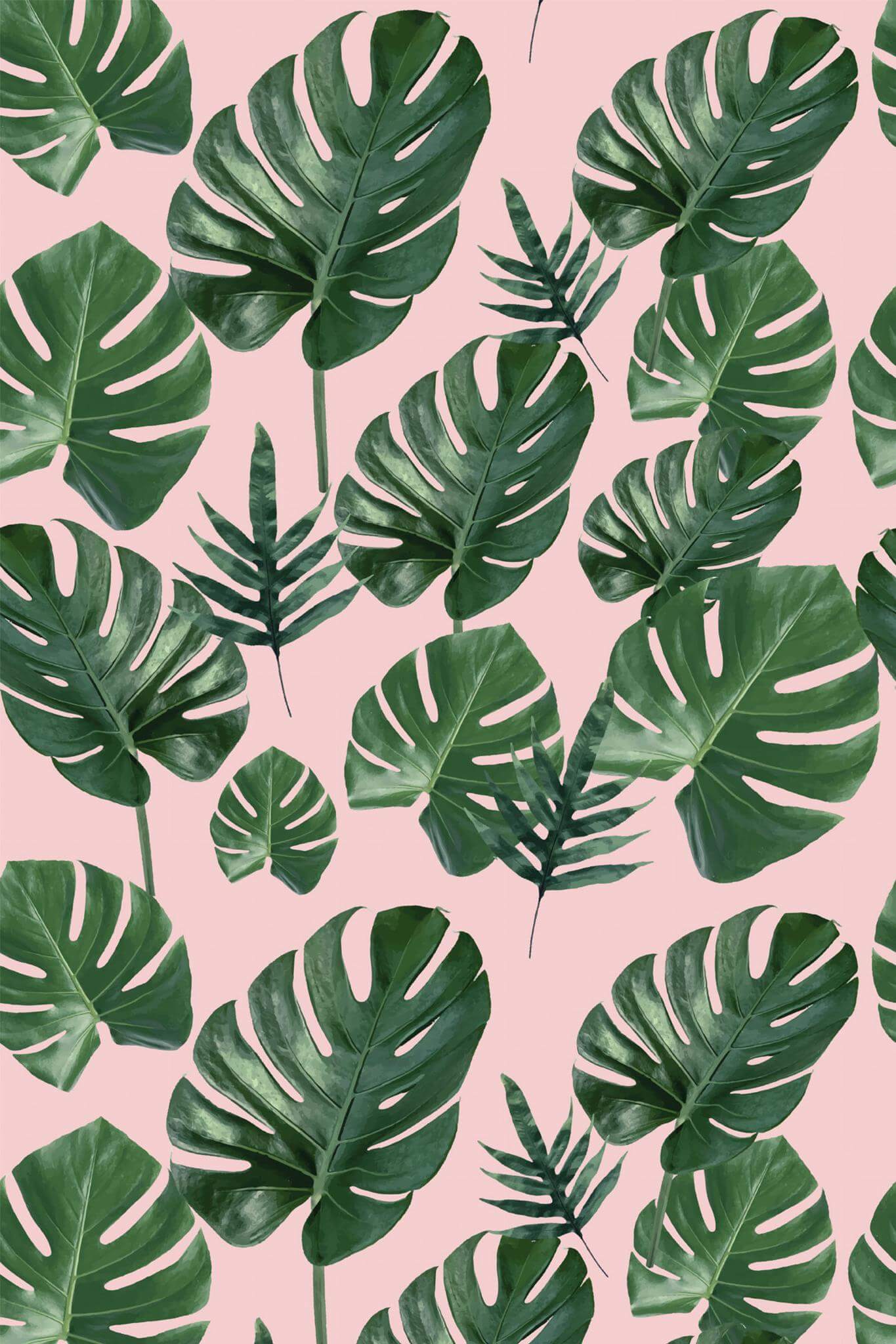 Modern Tropical Wallpaper