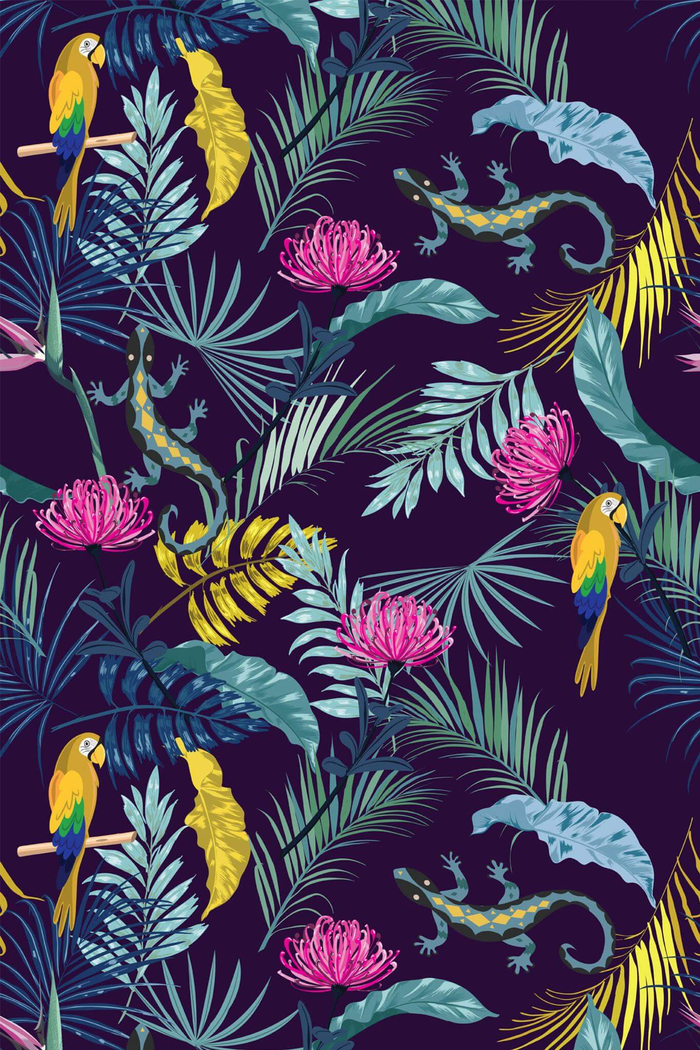 Parrot Wallpaper