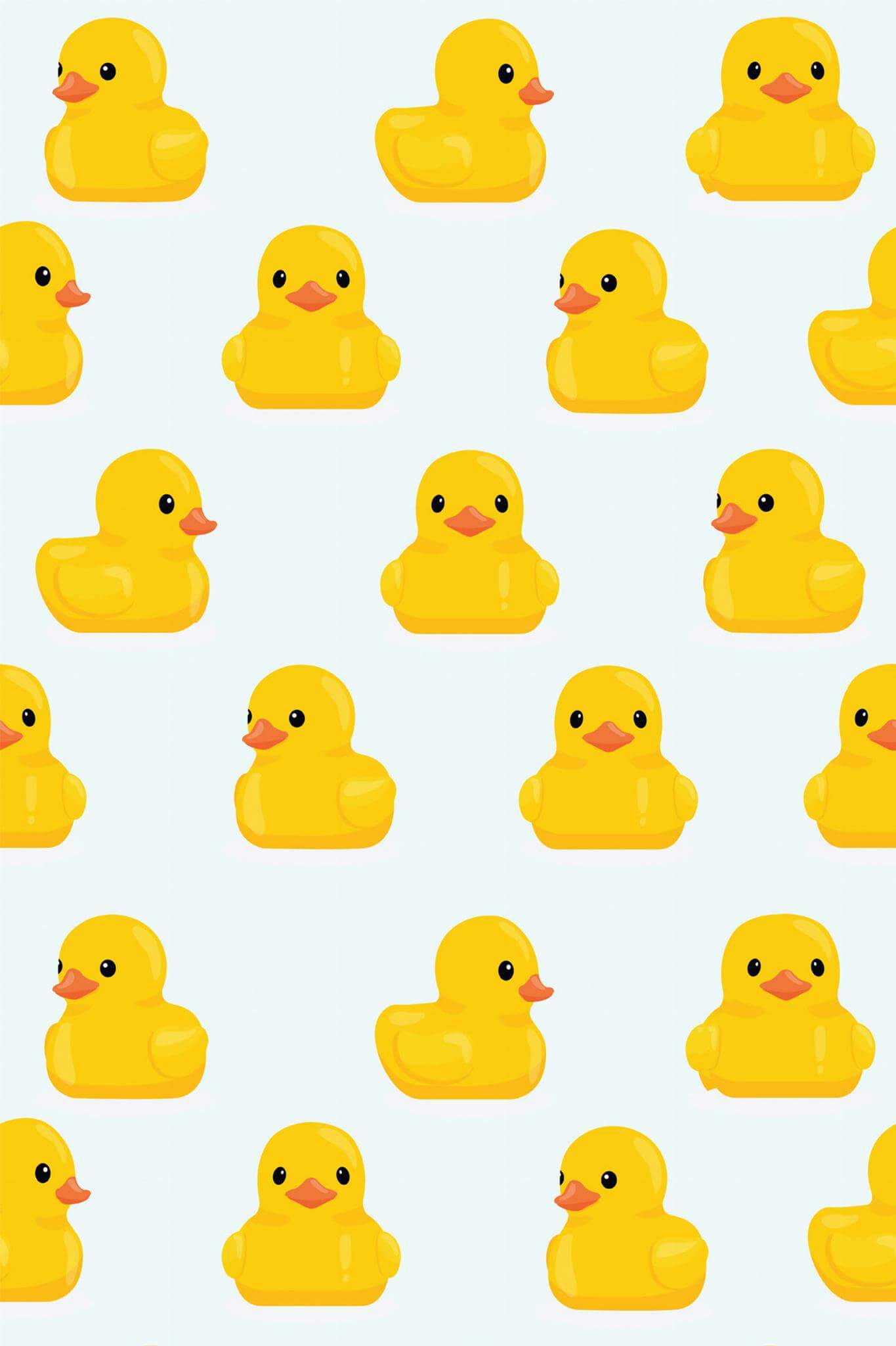 Cute Duck Wallpaper