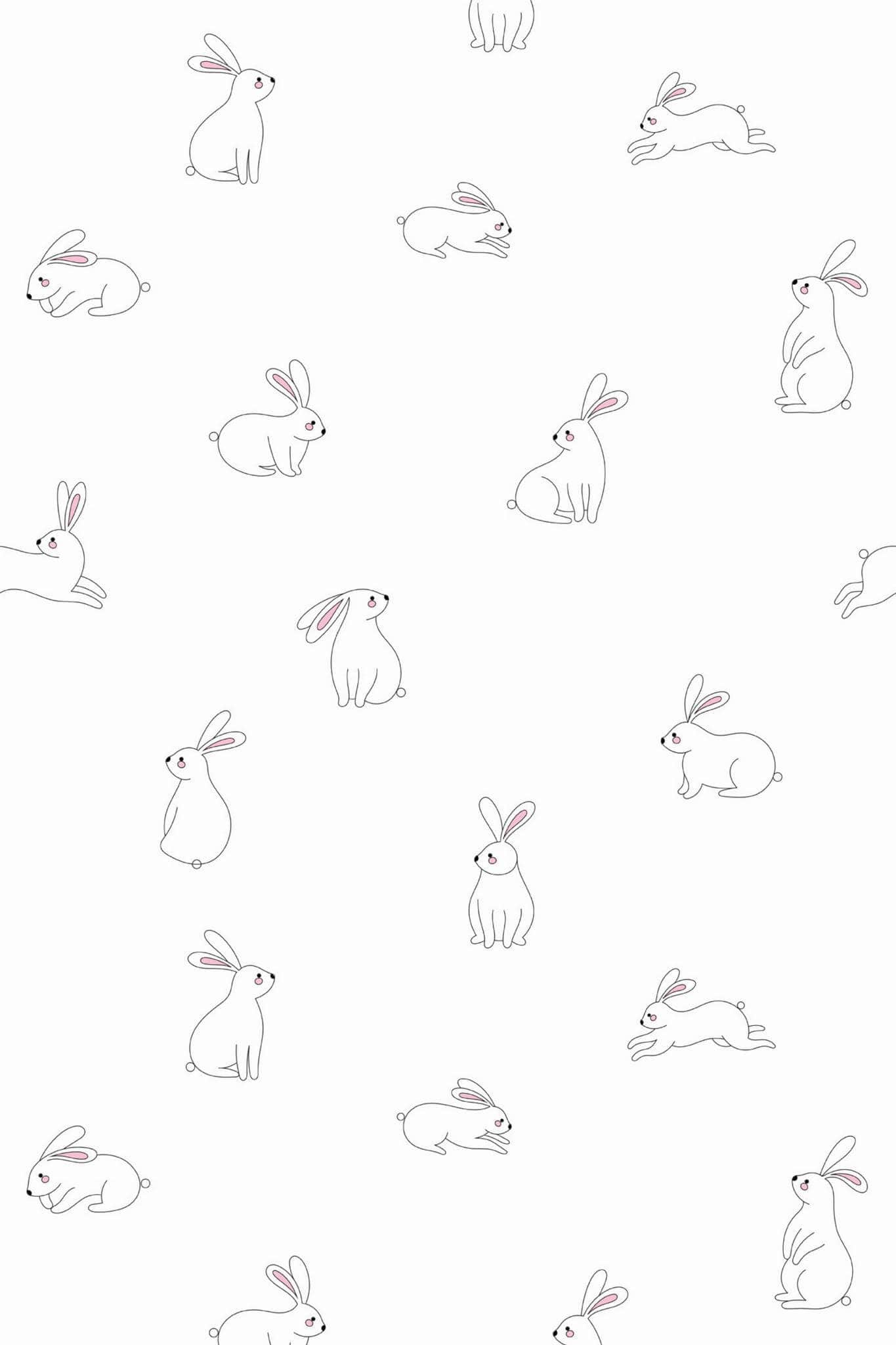 Bunny Wallpaper